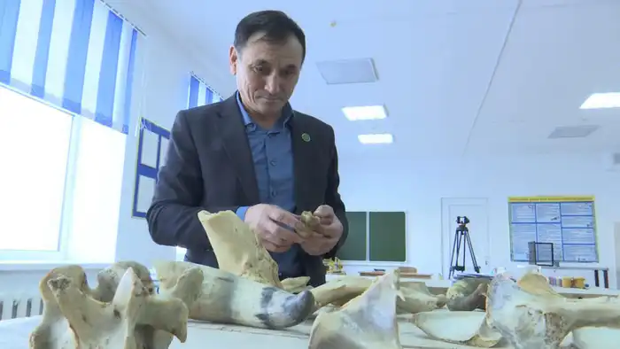 В Актюбинской области педагог Бирлик Солтан уже 25 лет обучает детей резьбе по кости, прививая им терпение и уважение к традициям. Его кружок в селе Талдысай стал настоящей кузницей талантов, где школьники не только осваивают ремесло, но и учатся ценить к {city2}