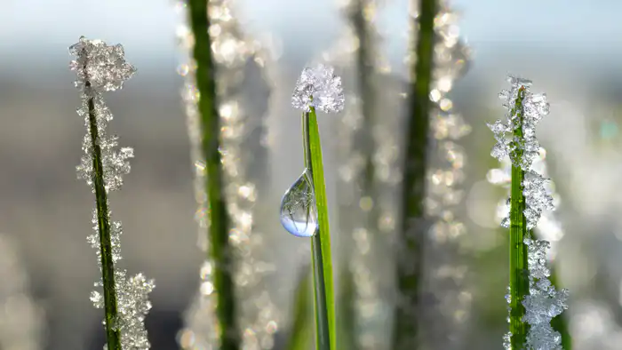 Температурный рекорд побит в Казахстане: аномальное тепло января 2026 года {city2}