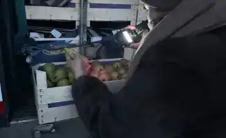 Казахстан вернул Бельгии 19 тонн груш из-за отсутствия фитосанитарного сертификата