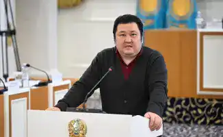 Обсуждение новой Конституции: международный взгляд на изменения в обществе и государстве по мнению политолога Марата Шибутова