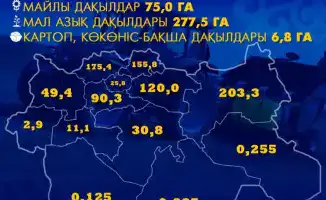 Актюбинская область: посевная площадь 865 тысяч гектаров и подготовка к сельскохозяйственному сезону