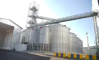 Мясной экспорт: Туркестанская область на коне!