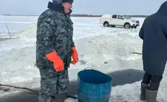 Аэрация озёр в Северо-Казахстанской области: меры по защите водных биоресурсов от замора