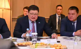 Инвестиции в область проекты деревообработка солнечные панели