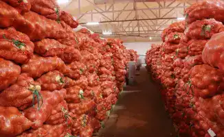 Ербол Карашукеев: Вдохновляющее путешествие по аграрным просторам Байзакского района