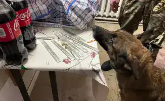 Попытка передачи наркотиков осужденному в Кызылординской области подчеркивает проблемы безопасности в учреждениях УИС