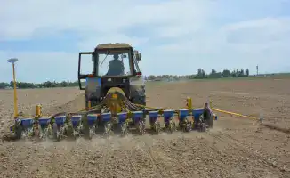 Снижение посевных площадей в Жамбылской области: последствия для аграрного сектора и водоснабжения