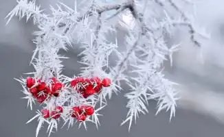 Синоптики предупреждают о сильных морозах до -37°C в Казахстане: прогноз погоды на 21-23 февраля