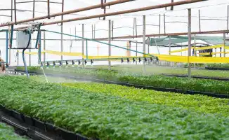 Туркестанская область: успехи в водосбережении