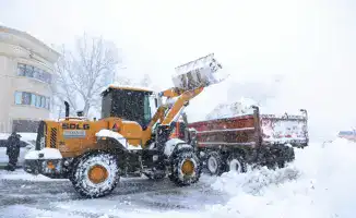 Ербол Карашукеев оценивает международные стандарты уборки снега в Таразе