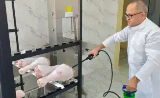 Казахстанские ученые увеличили срок хранения охлажденного мяса птицы до 20 суток без нитратов