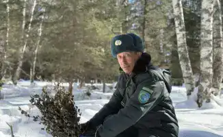 Зимний щит для дикой природы: забота о животных в Катон-Карагайском парке