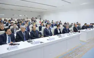 Жамбылская область готовит план развития региона