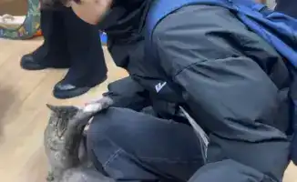 Школьники Астаны: доброе дело для хвостатых друзей!