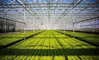 Запуск тепличного комплекса Ecoculture-Eurasia в Туркестанской области с инвестициями 42 млрд тенге