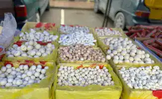 Доступные цены на продовольствие: ярмарка в Туркестане привлекла жителей