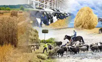 Сельхозкооперативы Казахстана: рост как урожай, собранный за пять лет