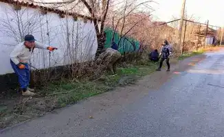 Сарыагаш: чистота в каждом уголке!