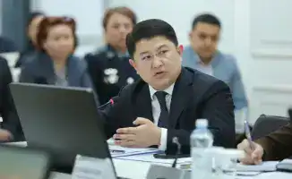 Зимовка скота в Жамбылской области: подготовка и возможные риски из-за погодных условий