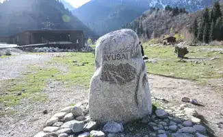 Рост туристической привлекательности Алматы: социальные и культурные изменения в 2025 году