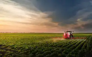 Рост инвестиций в агропромышленный комплекс Алматинской области: вклад в продовольственную безопасность страны