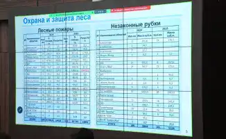 Международные усилия по сохранению лесов и биоразнообразия в Казахстане к 2025 году