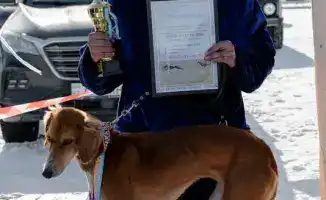 Соревнования по шырга тарту в Бухар-Жырауском районе: акцент на безопасность и традиции