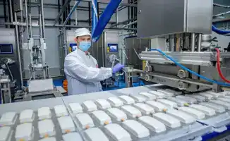 Рост экспорта мороженого как показатель развития отечественного производства в Казахстане