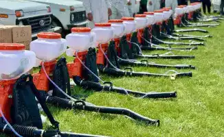 Борьба с саранчой в Туркестане: утвержден штаб и новые фитосанитарные меры