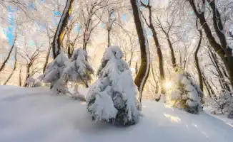 Арктический холод до -40 градусов ожидается в Казахстане: синоптики Казгидромета представили прогноз погоды на 24, 25 и 26 февраля.