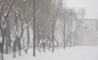 Зимние морозы и снег в Астане и Алматы: как погодные условия влияют на повседневную жизнь горожан