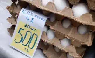 Картошка из фонда: свежесть на ярмарке Актау!