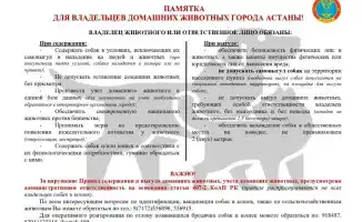 Международные стандарты безопасности: Астана усиливает контроль за владельцами домашних животных