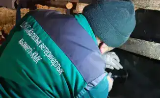 В Алматы стартовала бесплатная вакцинация сельскохозяйственных животных, поддерживающая здоровье и безопасность местных фермеров