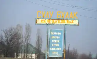 Улучшение облика населенных пунктов в Туркестанской области: последствия для санитарного состояния и общественного благосостояния