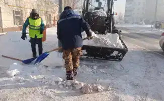 Зимние заботы Астаны: как коммунальные службы справляются с выводом снега в условиях снежного шторма