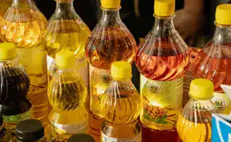 Казахстан увеличил производство растительного масла до 889 тыс. тонн в 2025 году