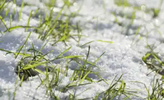 Астана и Алматы: потепление до +10°C в начале февраля по прогнозу синоптиков
