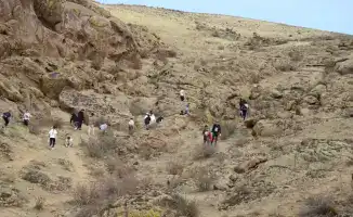 Зеленые оазисы Жетісу: экопарки на горизонте!