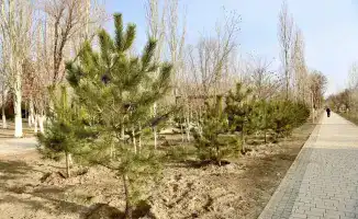 Строительство многофункциональной библиотеки и реконструкция Президентского парка в области