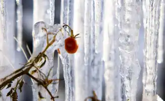 Прогноз погоды в Казахстане на Февраль 2026: теплее обычного и умеренные осадки