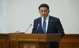 Токаев критикует вице-премьера на заседании правительства: кто отвечает за идеи?