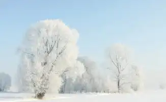 Синоптики Казгидромета прогнозируют резкое похолодание в Казахстане после теплых дней с температурой до +17 градусов, ожидаемое 5, 6 и 7 февраля.