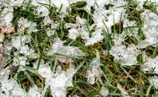 Сильные морозы ожидаются на юге Казахстана: прогноз погоды на 26-28 февраля от Казгидромета