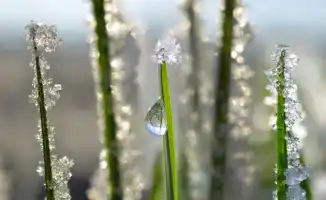 Температурный рекорд побит в Казахстане: аномальное тепло января 2026 года