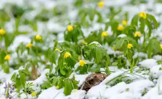 Казахстан встречает весну: тепло до 20 градусов, как предвестник весеннего пробуждения, по прогнозу синоптиков Казгидромета на 16-18 февраля