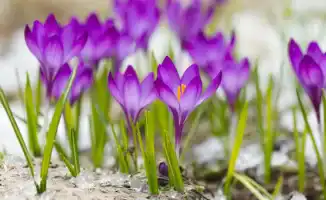 Тепло возвращается в Казахстан: прогноз погоды на начало марта