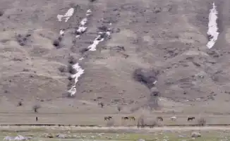 Казахстан: Потепление до 17 градусов в начале февраля, по прогнозу синоптиков