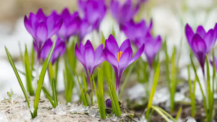 Тепло возвращается в Казахстан: прогноз погоды на начало марта {city2}