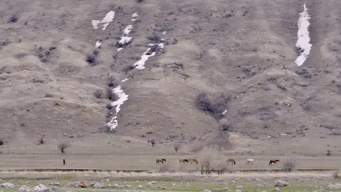 Казахстан: Потепление до 17 градусов в начале февраля, по прогнозу синоптиков {city2}